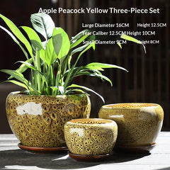 Old-branch Pothos Rustic Terracotta Breathable Small Succulent Pot With Tray Minimalist Style