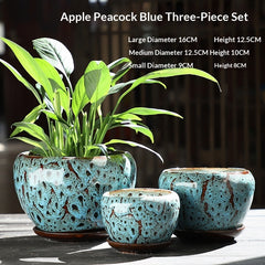 Old-branch Pothos Rustic Terracotta Breathable Small Succulent Pot With Tray Minimalist Style