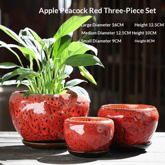 Old-branch Pothos Rustic Terracotta Breathable Small Succulent Pot With Tray Minimalist Style